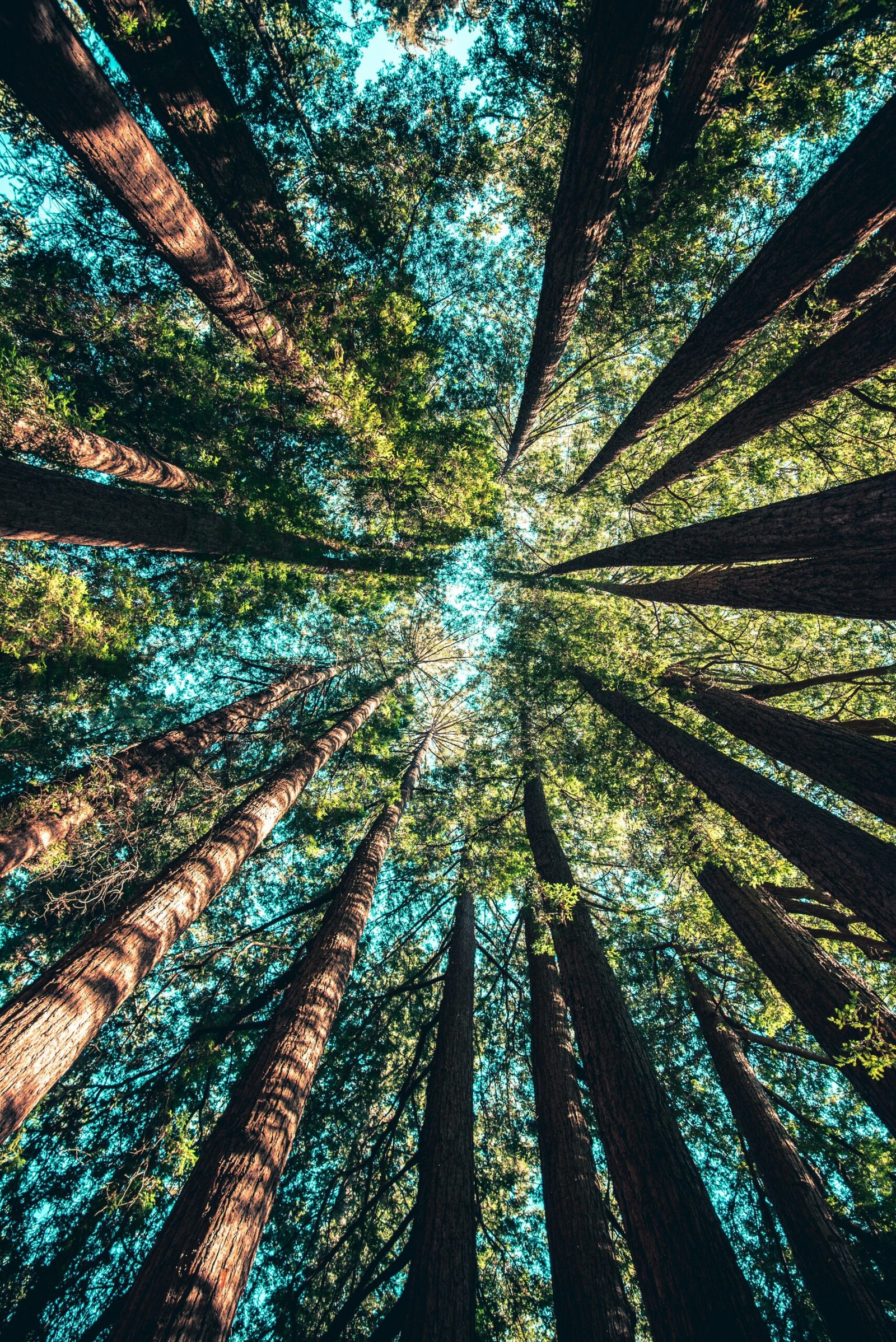 Casey Horner 4rDCa5hBlCs Unsplash Scaled