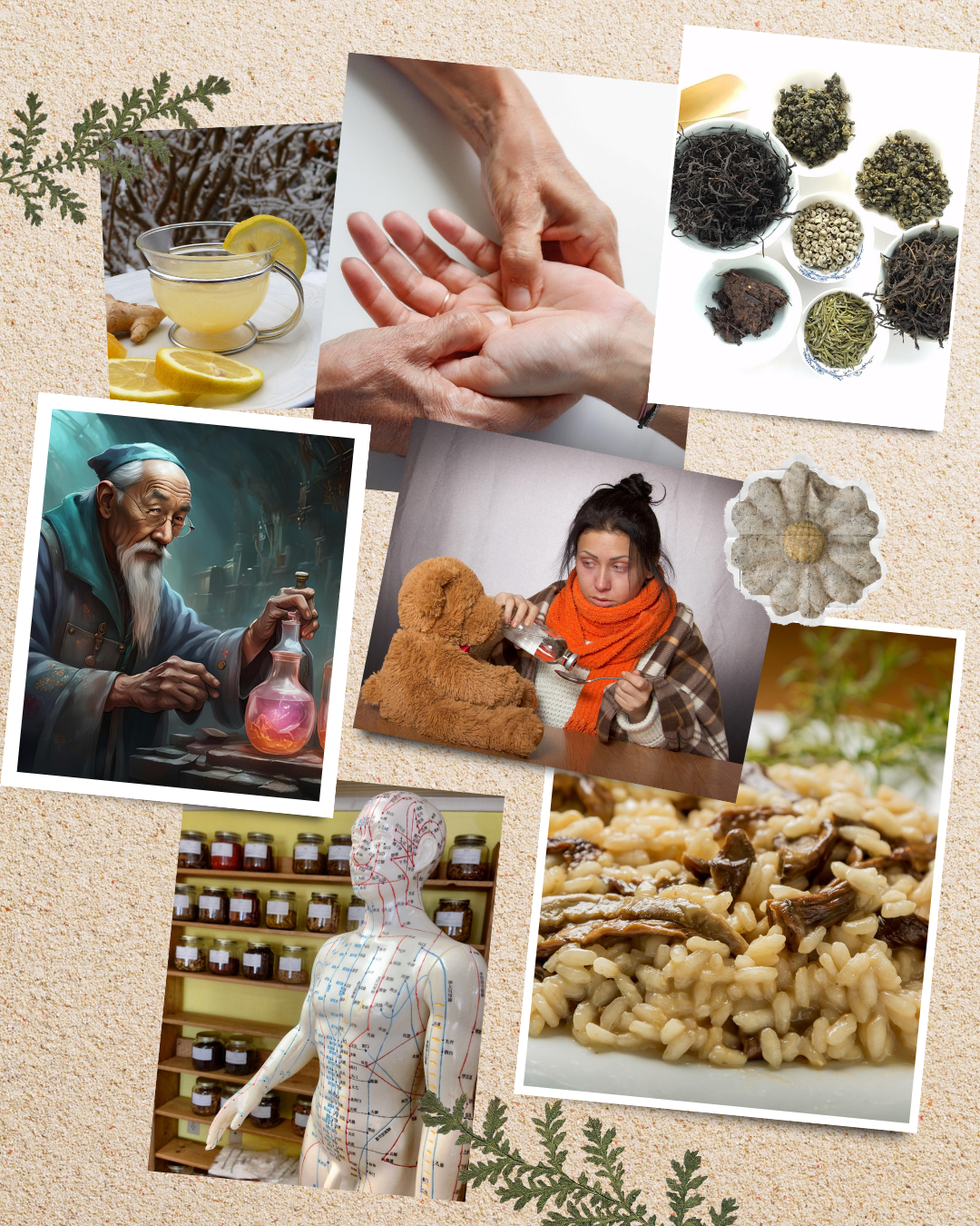 Ghidul pentru Răceli - Abordarea TCM pentru Sănătate și Întărirea Imunității