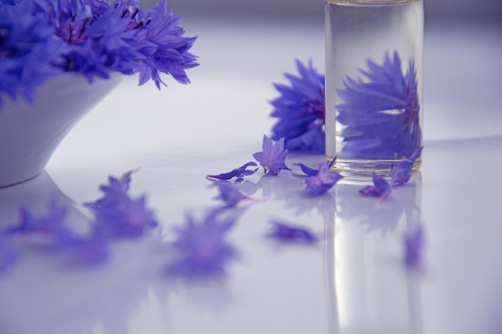 atelier frumusețe naturală prin nutriție și medicina tradițională chineză atelier frumusețe naturală prin nutriție și medicina tradițională chineză