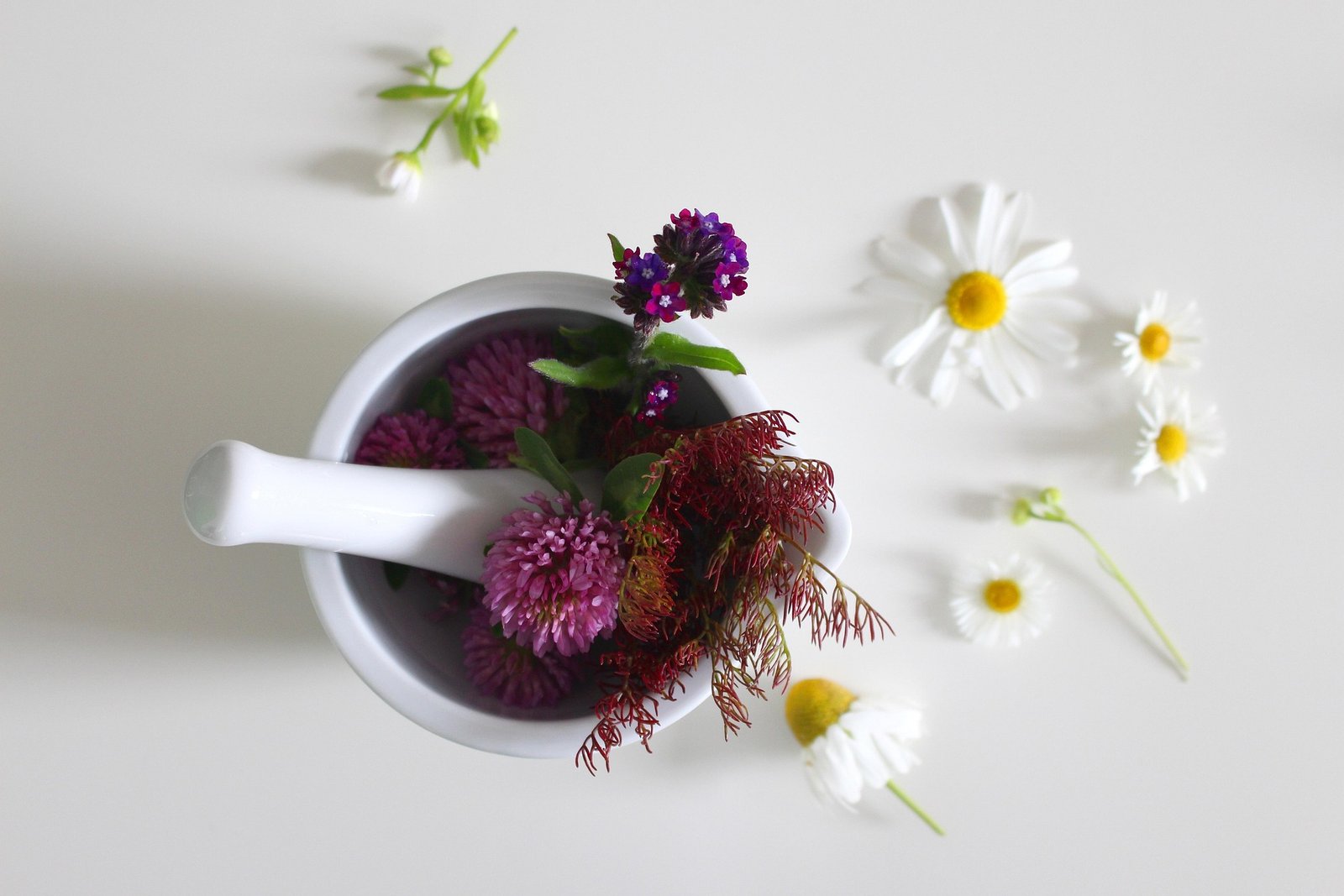 atelier frumusețe naturală prin nutriție și medicina tradițională chineză atelier frumusețe naturală prin nutriție și medicina tradițională chineză